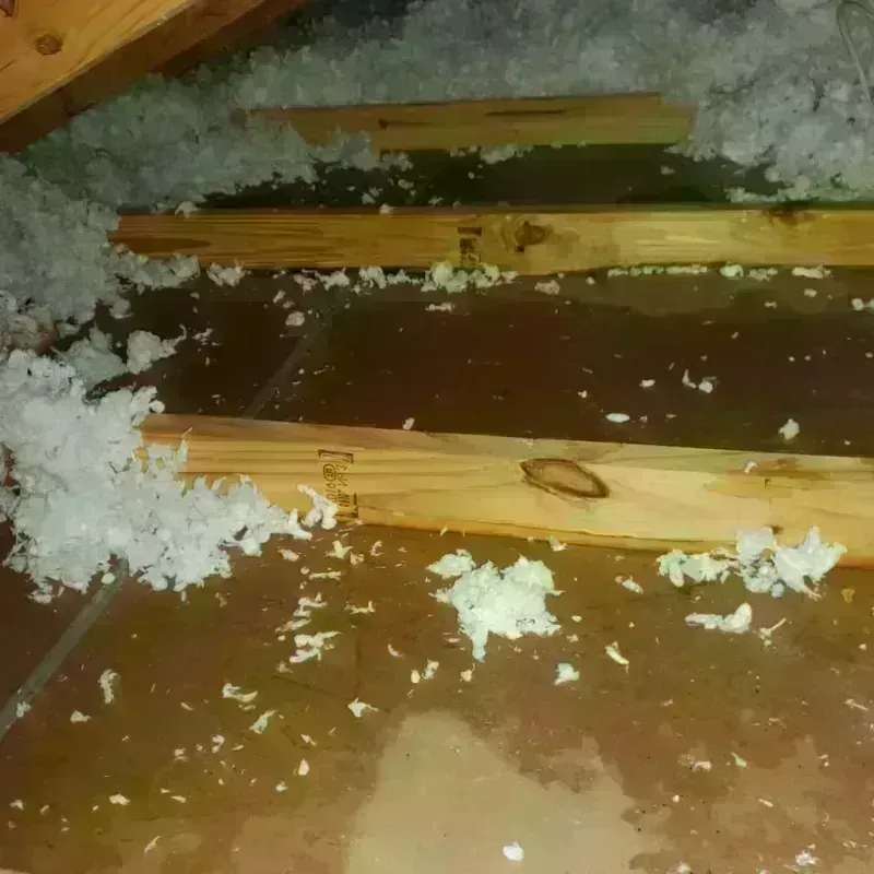 Attic Water Damage in Vineyard, CA